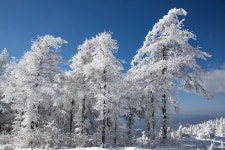 태기산 추억 - 베스트갤러리 출사코리아