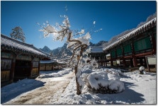 설악산 신흥사 - 베스트갤러리 출사코리아