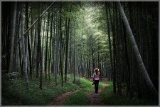 She is~! - 베스트갤러리 출사코리아