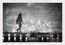 꿈속의 징검다리 - 베스트갤러리 출사코리아