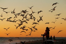 ☆...아침을 여는 사람들 - 베스트갤러리 출사코리아