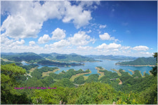 악어섬 - 베스트갤러리 출사코리아