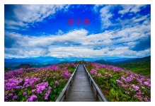 천상화원으로 가는길... - 베스트갤러리 출사코리아