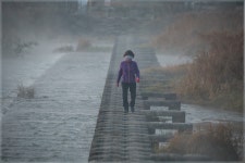 황강 짐금다리 - 베스트갤러리 출사코리아