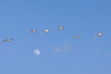 달과 함께 ... - 베스트갤러리 출사코리아