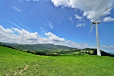 삼양목장의 여름 - 베스트갤러리 출사코리아