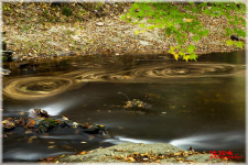 선운사물돌이 - 베스트갤러리 출사코리아