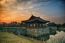 동궁과 월지 - 베스트갤러리 출사코리아