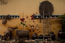 마비정나들이 - 베스트갤러리 출사코리아