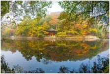 도솔천의 가을 2 - 베스트갤러리 출사코리아