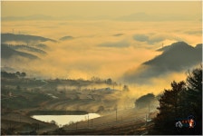 꿈속의 고향 - 베스트갤러리 출사코리아