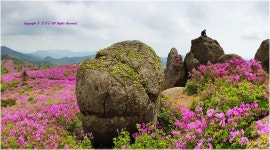 추암산 - 베스트갤러리 출사코리아
