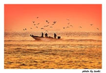 공존의 바다 - 베스트갤러리 출사코리아