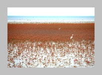 공치는날~~  제부도 - 유저 에쎄이 출사코리아