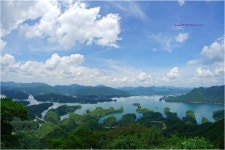 여름 악어섬 - 주간베스트포토 출사코리아