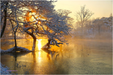 방죽마을 - 주간베스트포토 출사코리아