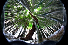 공생 - 주간베스트포토 출사코리아