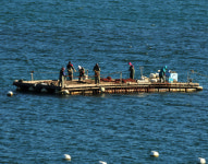 삶의 터전 2 - 쿨갤러리 출사코리아