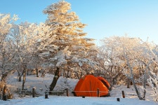 빨간집 2채가??? - 쿨갤러리 출사코리아