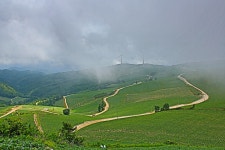 매봉산 - 쿨갤러리 출사코리아