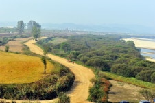 강변의 풍경 - 쿨갤러리 출사코리아