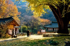 운곡서원 - 쿨갤러리 출사코리아