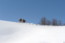 양떼목장에서 - 쿨갤러리 출사코리아