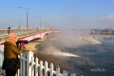 소양3교 - 쿨갤러리 출사코리아