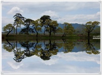 대정제 반영... - 쿨갤러리 출사코리아