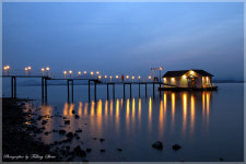 실안카페 - 쿨갤러리 출사코리아