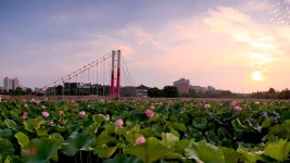 덕진공원의아침 - 쿨갤러리 출사코리아