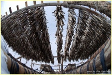 드세요^^ - 쿨갤러리 출사코리아