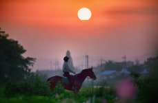 촌로의 귀가 - 쿨갤러리 출사코리아