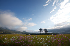 오늘의 평사리 - 쿨갤러리 출사코리아