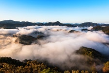 옥정호는 붕어찜 요리중 - 쿨갤러리 출사코리아