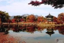 향원정 - 쿨갤러리 출사코리아