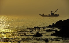 안개낀 아침바다 - 쿨갤러리 출사코리아