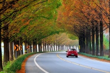 가을속으로.. - 쿨갤러리 출사코리아