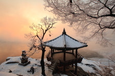 강가의 아침 - 쿨갤러리 출사코리아