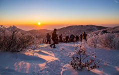 분주한 태백의아침 - 쿨갤러리 출사코리아
