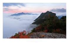 추월산이 보이는 풍경 - 쿨갤러리 출사코리아