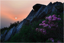 함백산에서.... - 쿨갤러리 출사코리아