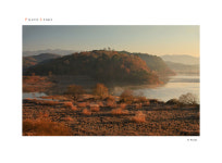 우포情景.. - 쿨갤러리 출사코리아
