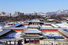 창경궁의 아침 - 쿨갤러리 출사코리아