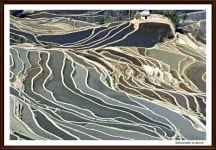 원양제전 빠다의 감동 - 쿨갤러리 출사코리아