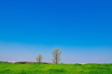 안성목장에서 - 쿨갤러리 출사코리아