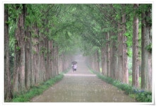 비..... - 쿨갤러리 출사코리아