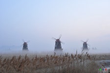 안개낀 소래습지생태공원 - 쿨갤러리 출사코리아