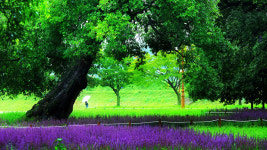 성밖숲 - 쿨갤러리 출사코리아