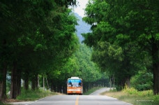 무진장 버스를 만나고 왔습니다. - 쿨갤러리 출사코리아